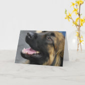 Carte de voeux de Leonberger (Fleur jaune)
