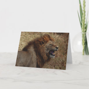 Carte de voeux de l'hurlement d'un lion