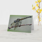 Carte de voeux de libellule, intérieur vide (Fleur jaune)