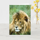 Carte de voeux de lion (Fleur jaune)