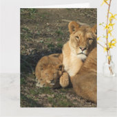 Carte de vœux de lion et de bébé lionceau pour la  (Fleur jaune)