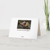 carte de voeux de lizards (Dos)