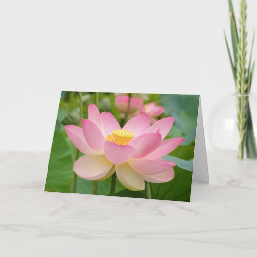 Carte de voeux de Lotus Blossum (Devant)
