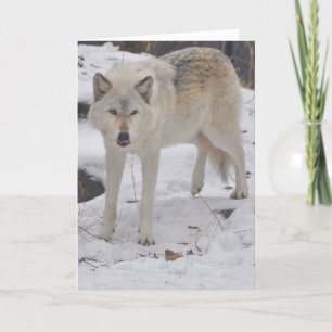 Carte de voeux de loup gris