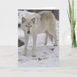 Carte de voeux de loup gris
