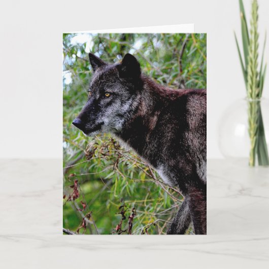 Carte de voeux de loup noir (Devant)