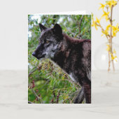 Carte de voeux de loup noir (Fleur jaune)