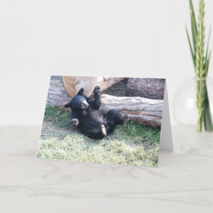 Carte de voeux de l'ours noir Alaska