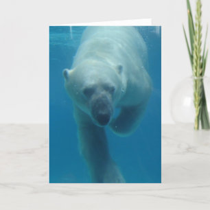 Carte de voeux de l'ours polaire