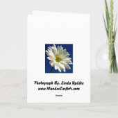 Carte de voeux de marguerite (Dos)