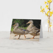 Carte de voeux de mars des Canards (Fleur jaune)