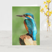 Carte de voeux de martin-pêcheur (Fleur jaune)