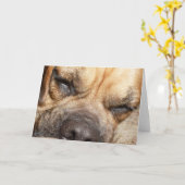 Carte de voeux de mastiff de sommeil (Fleur jaune)