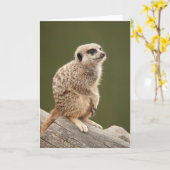 Carte de voeux de Meerkat (Fleur jaune)