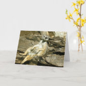 Carte de voeux de Mercat (Fleur jaune)