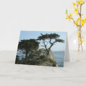 Carte de voeux de Monterey Cypress (Fleur jaune)