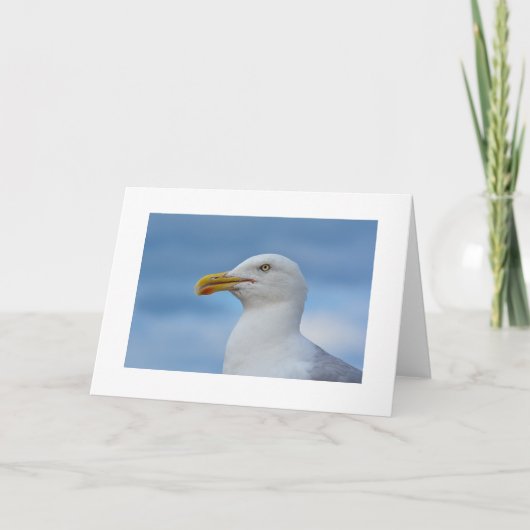 Carte de voeux de mouette (Devant)