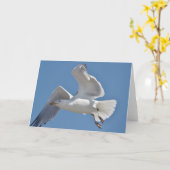 Carte de voeux de mouette (Fleur jaune)