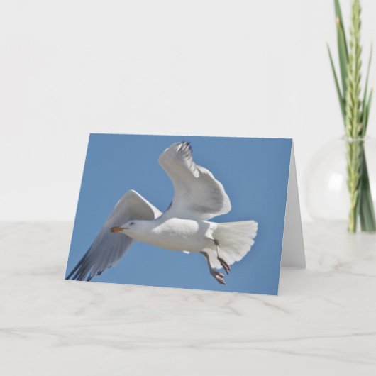 Carte de voeux de mouette (Devant)
