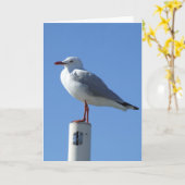Carte de voeux de mouette (Fleur jaune)