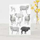 Carte de voeux de moutons noirs (Fleur jaune)