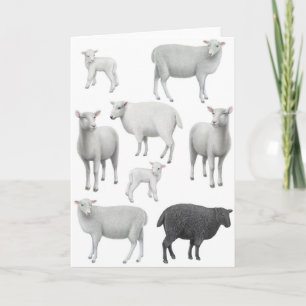 Carte de voeux de moutons noirs