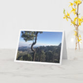 Carte de voeux de Mt. Lemmon (Fleur jaune)