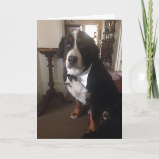 Carte de voeux de nation de Berner (Devant)