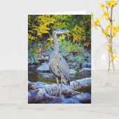 Carte de voeux de nature de NorCal : Carte de (Fleur jaune)