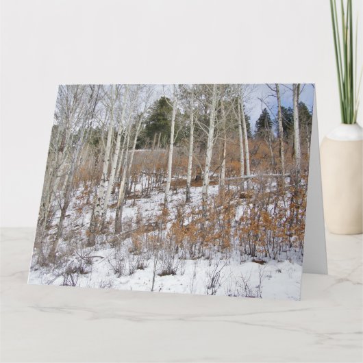 Carte de voeux de neige précoce (Devant)