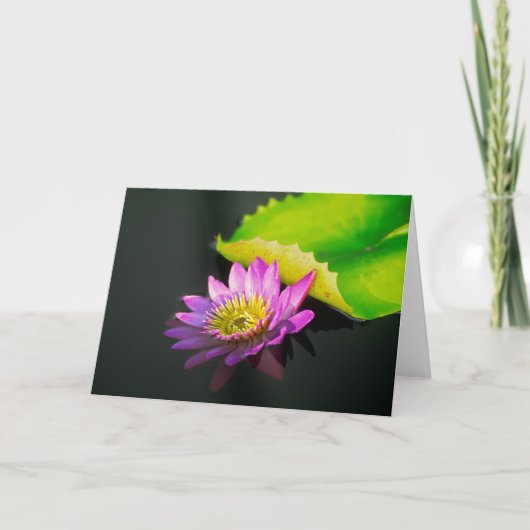 Carte de voeux de nénuphar (Devant)