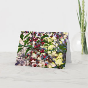 Carte de voeux de Noël