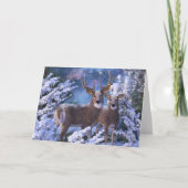 Carte de voeux de Noël (Devant)