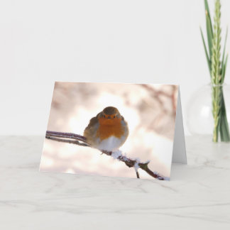 Carte de voeux de Noël avec Robin