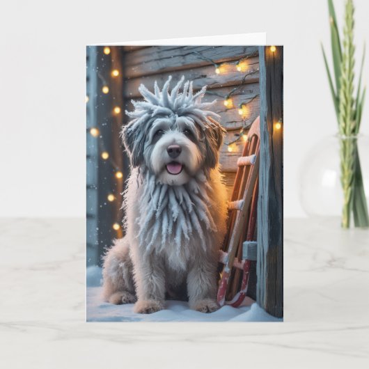 Carte de voeux de Noël Bergamasco Sheepdog Chien (Devant)