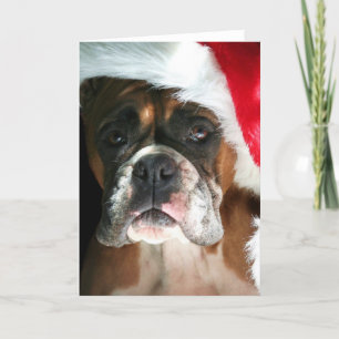 Carte de voeux de Noël Boxer Dog