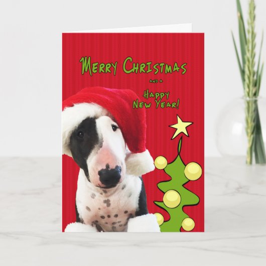 Carte de voeux de Noël Bull Terrier (Devant)