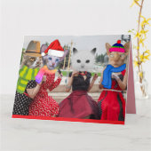 CARTE DE VOEUX DE NOËL CHAT DRÔLE POUR MEILLEURE A (Fleur jaune)