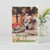 Carte de voeux de Noël - Chien avec un arbre de No (Debout devant)