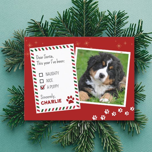 Carte de voeux de Noël coquelicot ou Nice