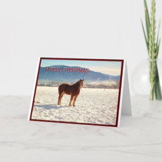 Carte de voeux de Noël de cheval de trait de la