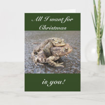 Carte de voeux de Noël de grenouille/crapaud migno