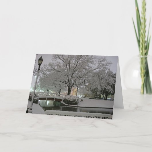 Carte de voeux de Noël de parc de Milou (Devant)