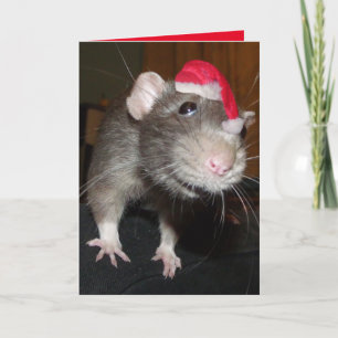 Carte de voeux de Noël de rire