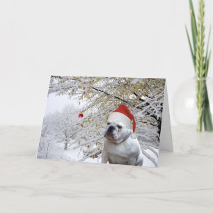 Carte de voeux de Noël Doggie