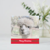 Carte de voeux de Noël Joyeux Alpaca (Debout devant)