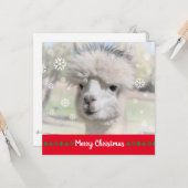 Carte de voeux de Noël Joyeux Alpaca (Devant/Arrière en situation)