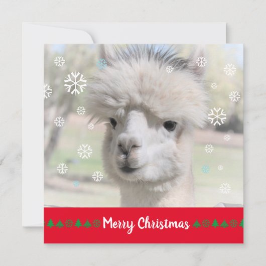 Carte de voeux de Noël Joyeux Alpaca (Devant)
