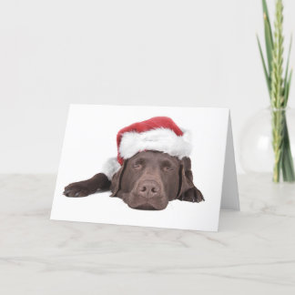 Carte de voeux de Noël Labrador