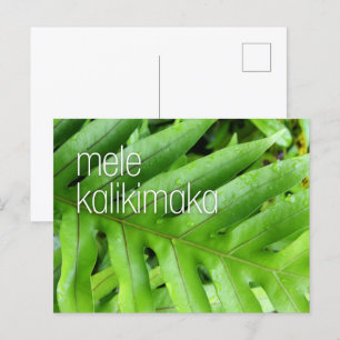 Carte de vœux de Noël Mele Kalikimaka Joyeux Noël